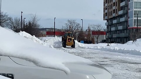 Removal Operation March 2023