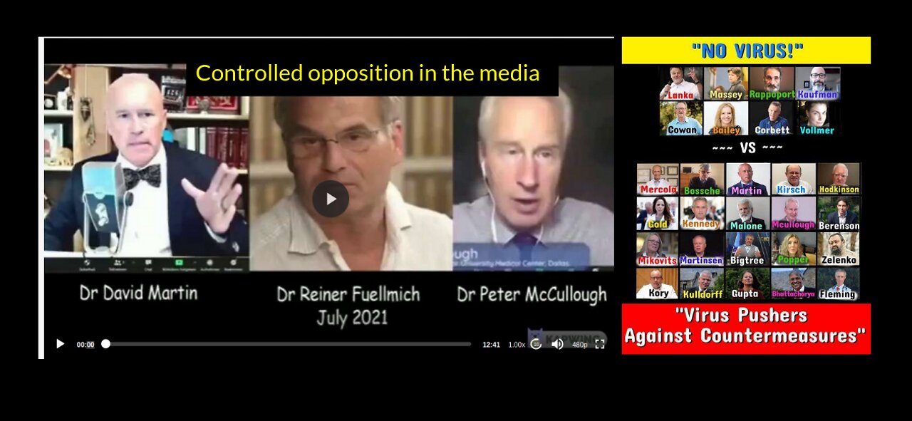 Dr Reiner Fuellmich (Not REALLY suing the WHO) - Controlled Opposition