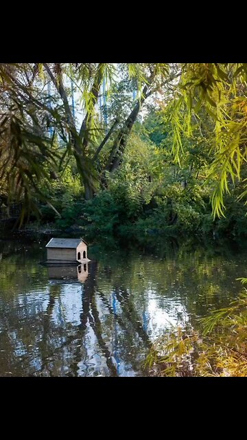 Autumn colors on Tomsk region