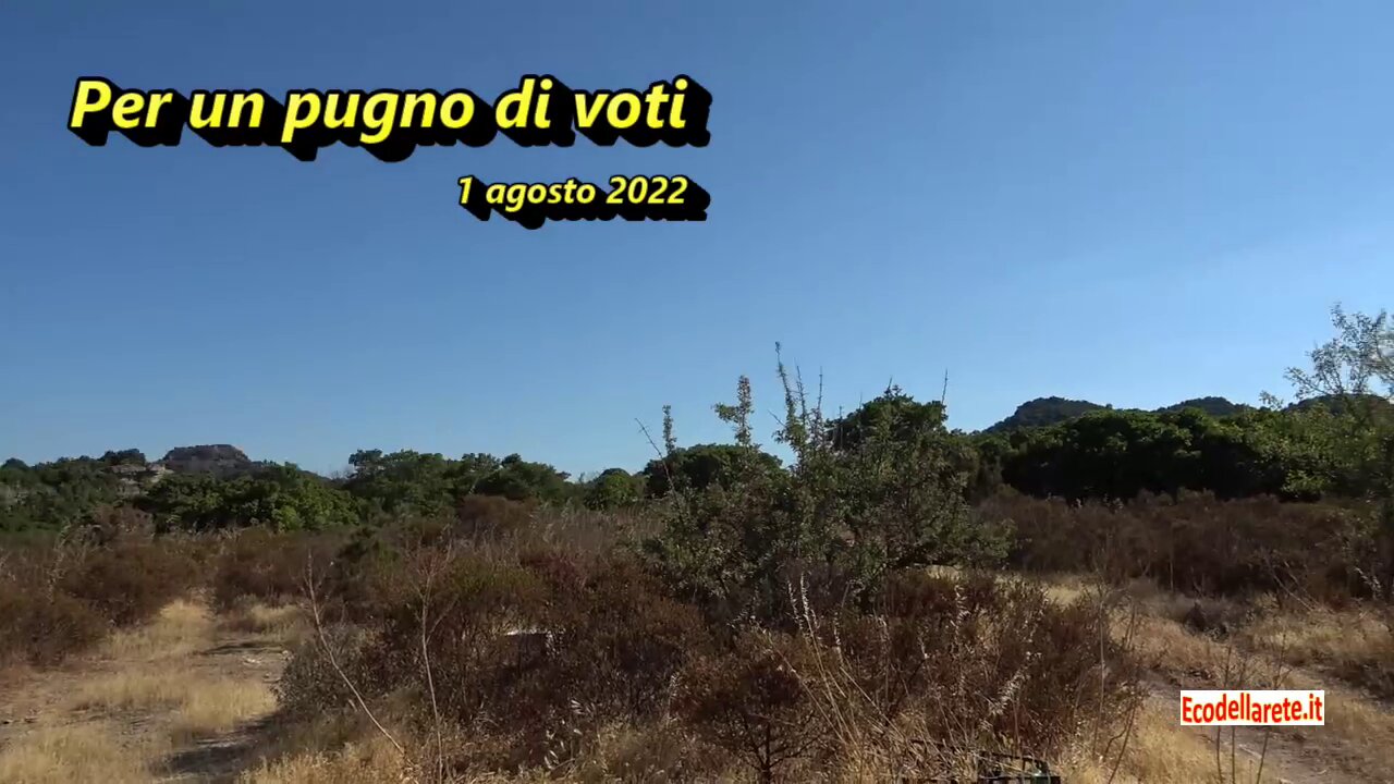 Per un pugno di voti