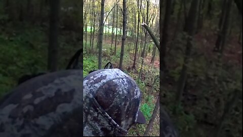 Meat Eater Smokes Deer #deer #shorts #deerhunting