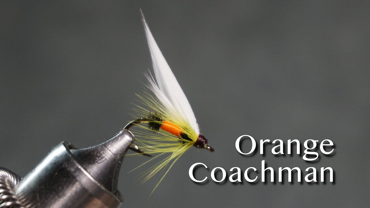 Orange Coachman from Favorite Flies and Their Histories (1892) by Mary Orvis Marbury