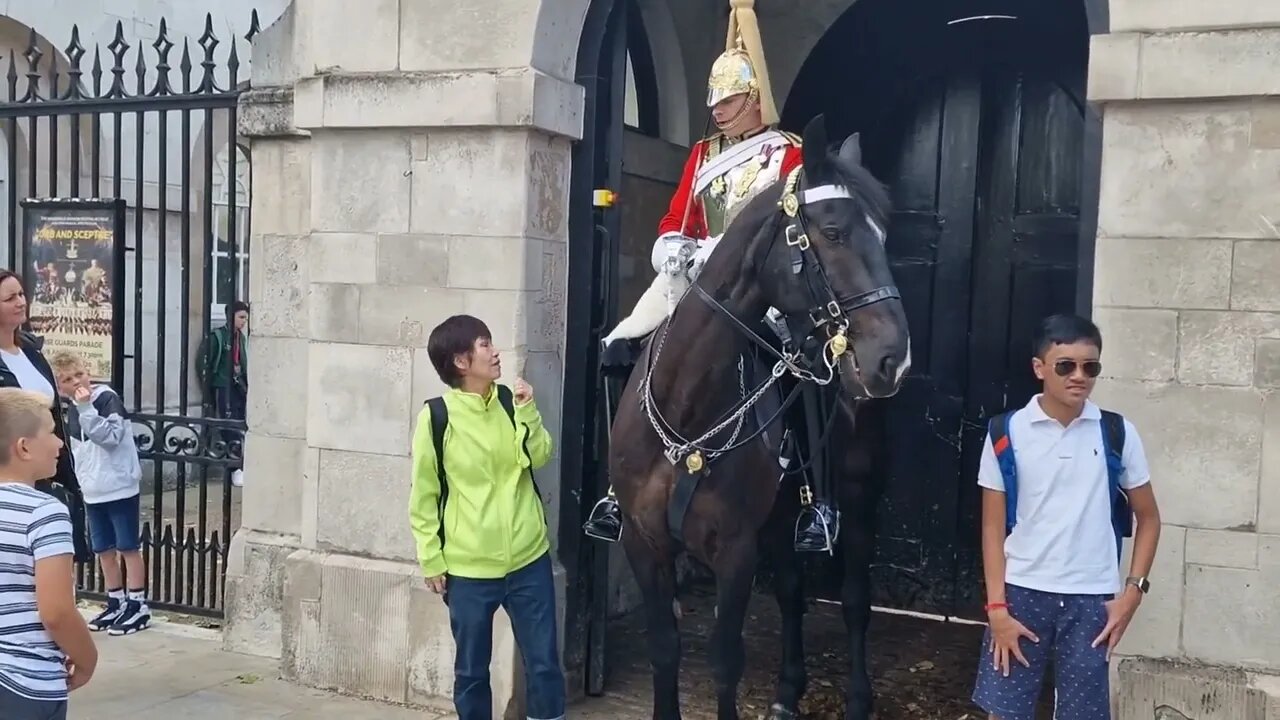 Gently telling of for touching the reins Has no effect #horseguardsparade