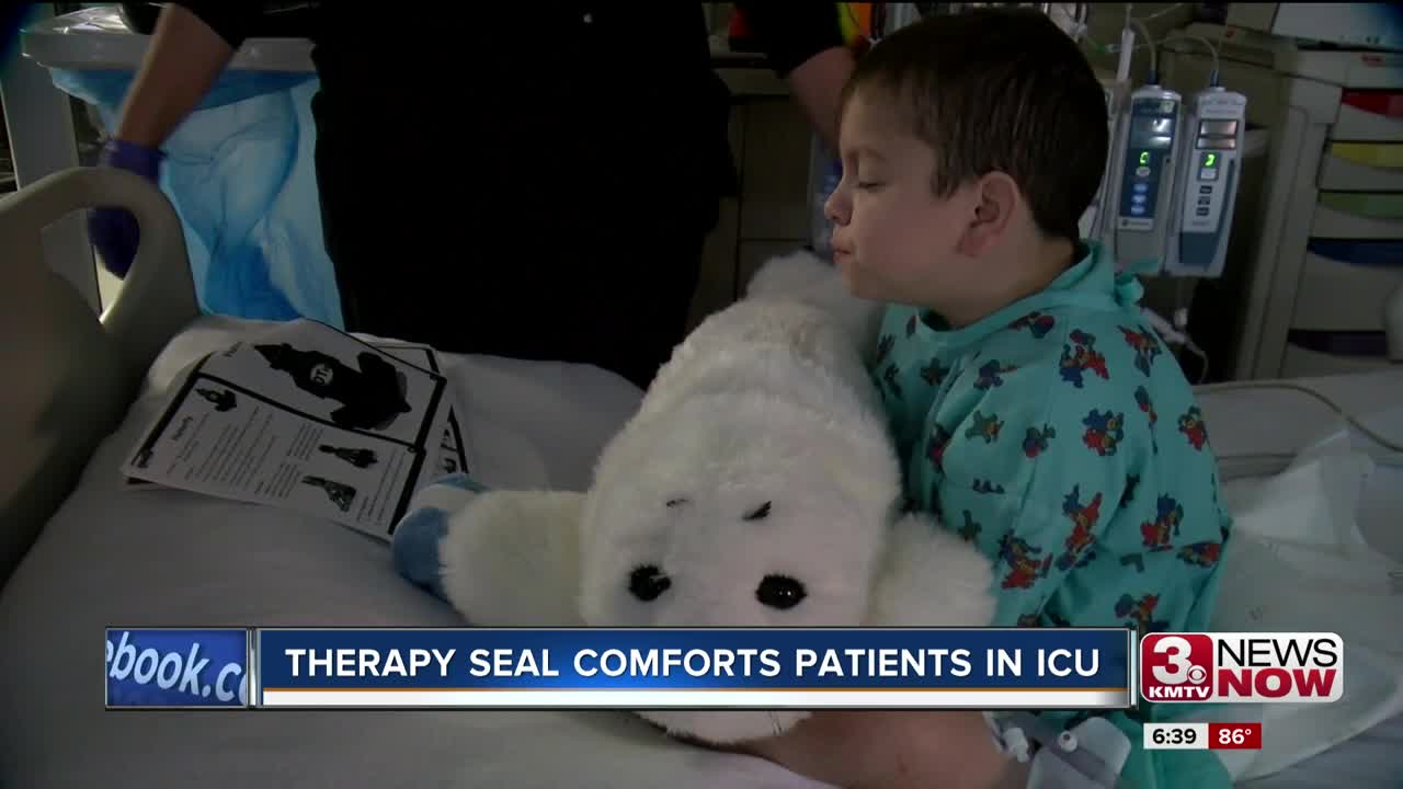 Therapy Seal Comforts Patients in ICU