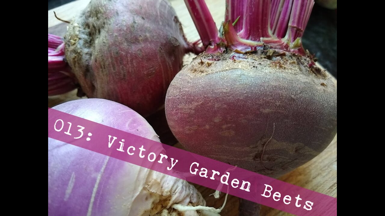 013: Victory Garden Beets