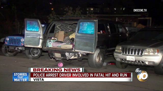 Police arrest driver involved in fatal hit-and-run