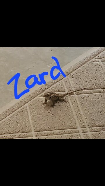 We named him Zard