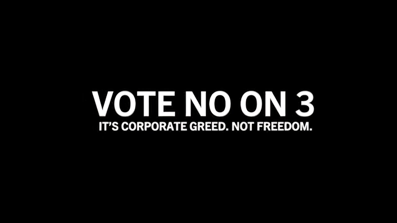 Vote NO on Amendment 3 : Immunity. It's Corporate GREED, not Freedom.