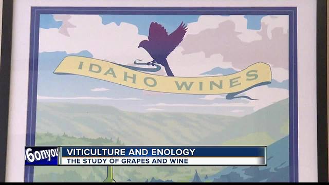 Growing Idaho's wine industry through education