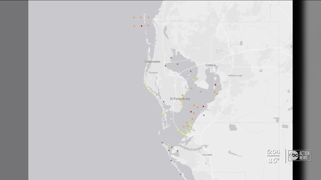 Red tide effects resulting in fish kills