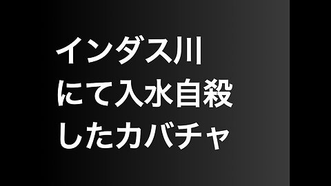 インダス川にて入水自殺したカバチャ