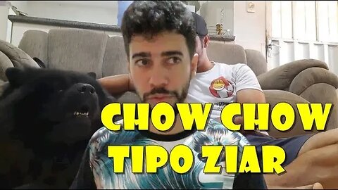 Mais um caso de chow chow Bravo