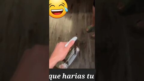 videos cómicos risa