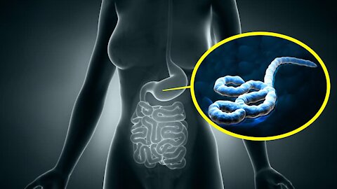 This Creature Lives in Your Body Even After Your Death!