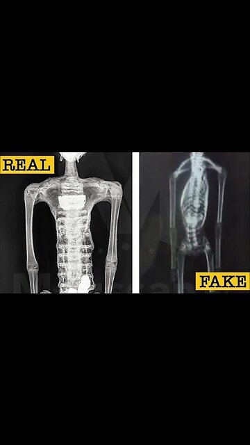 Nazca Aliens Real vs Fake