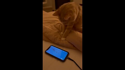 Playing time
