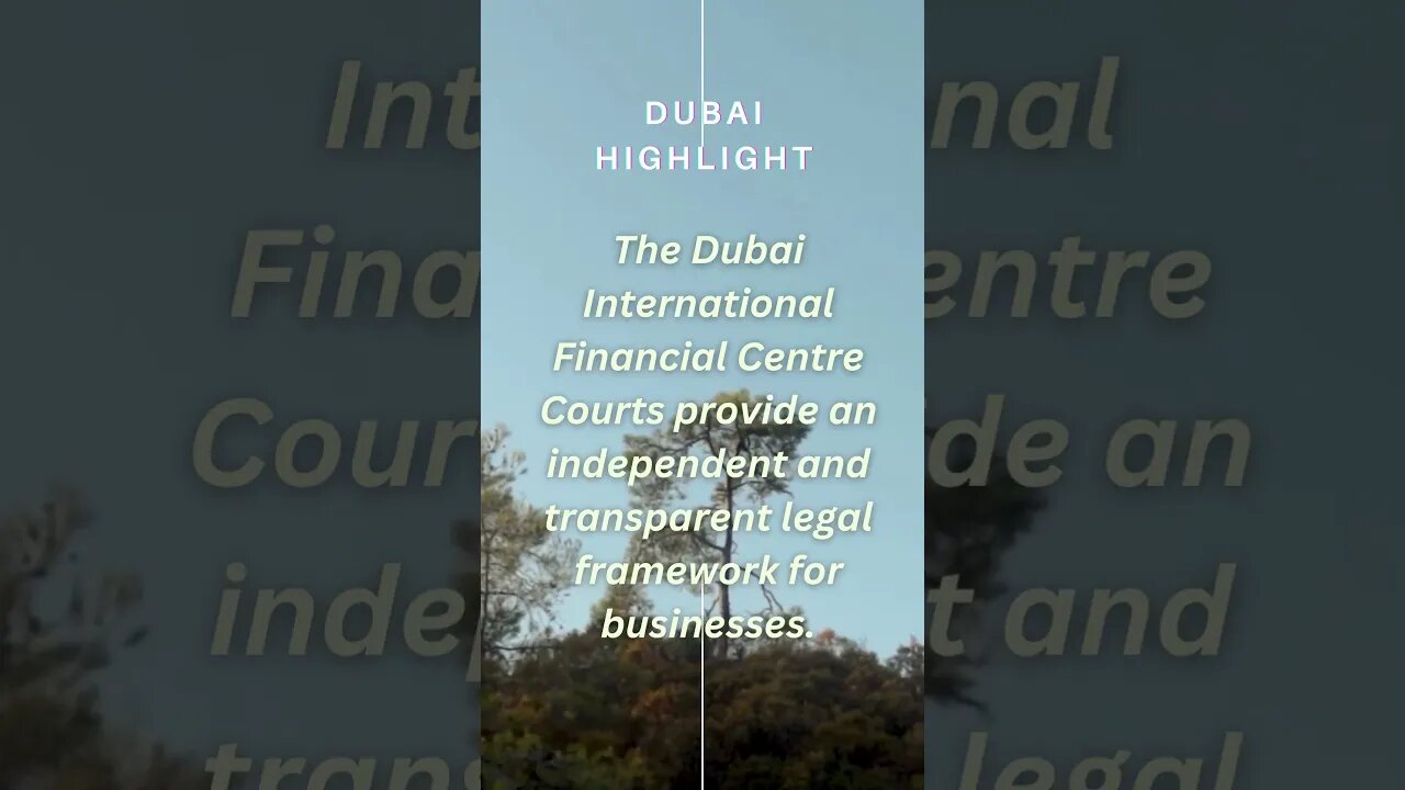 Dubai Highlights 21 #dubai #dubaihighlights #2023 #dubaihistory #viral