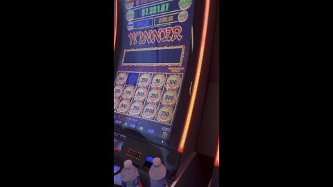 T’s almost big win