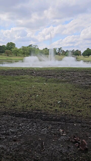 My Peaceful Place - Taxes Are Theft