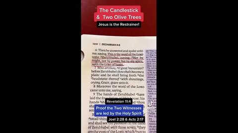 The Two Witnesses shown in Zechariah, in the Old Testament