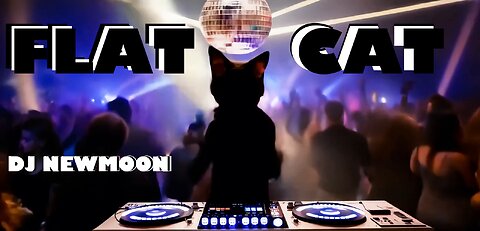 DJ Newmoon - Flat Cat (Music Video)