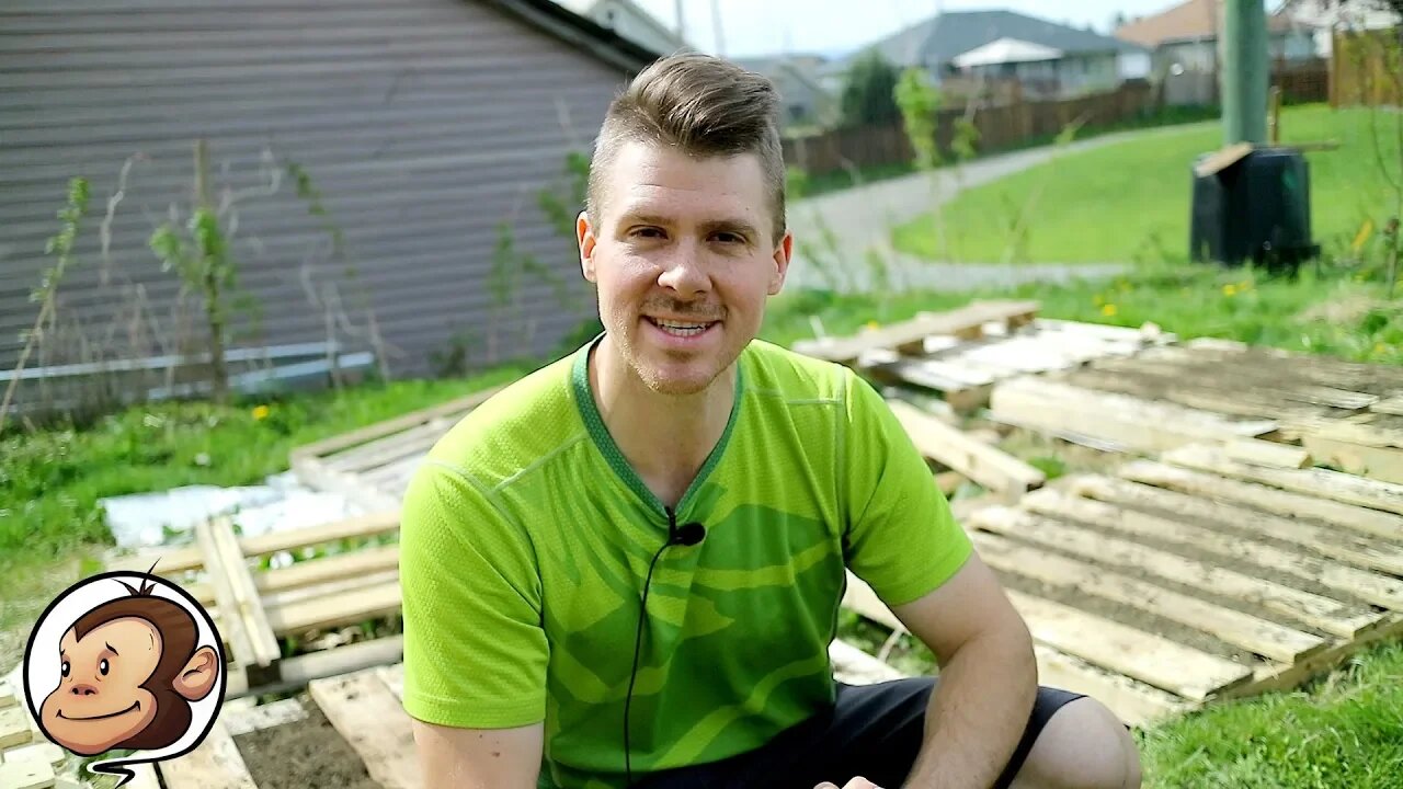 Raised Beds Made from PALLETS!?