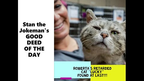 Roberta's Cat Has Been Found!! Please Share This Wonderful News & Call Roberta!