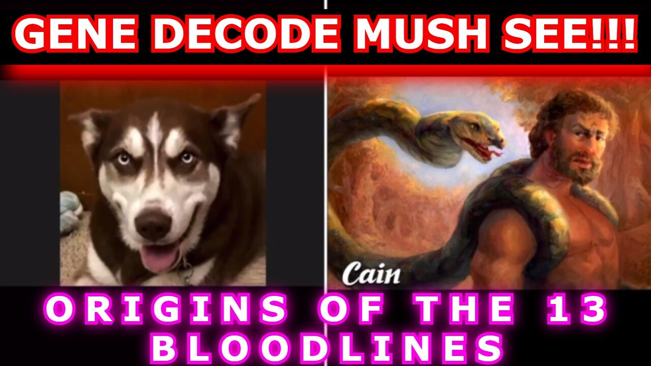 GENE DECODE REUPLOAD: ORIGINS OF THE 13 BLOODLINES