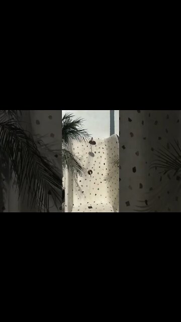 Inside a luxury and unique African themed villa in Bali! 🌴 #shorts #luxuryhomes #bali