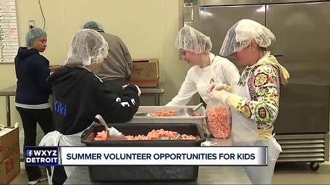 Summer volunteer opportunities for kids