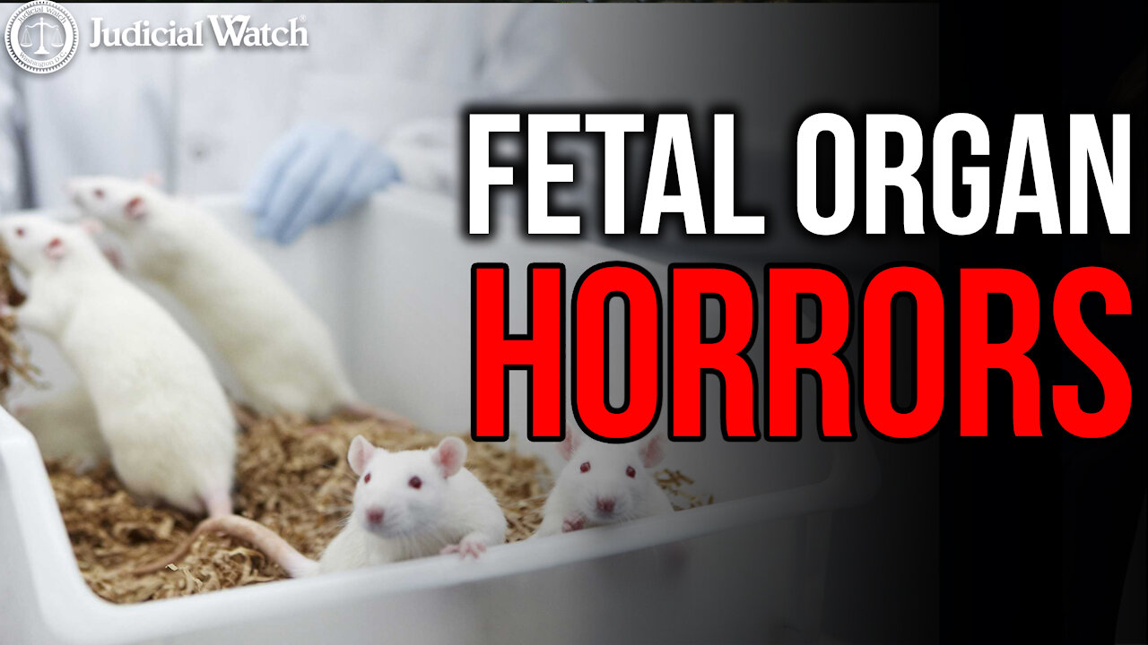 EXPOSED: FDA Sought Fetal Heads for Humanized Mice Experiments