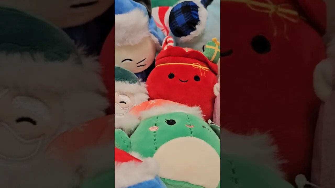 Christmas Squad Squishmallows! New video on our channel 🎄🎅 #squishhunt #shorts #squishmallows