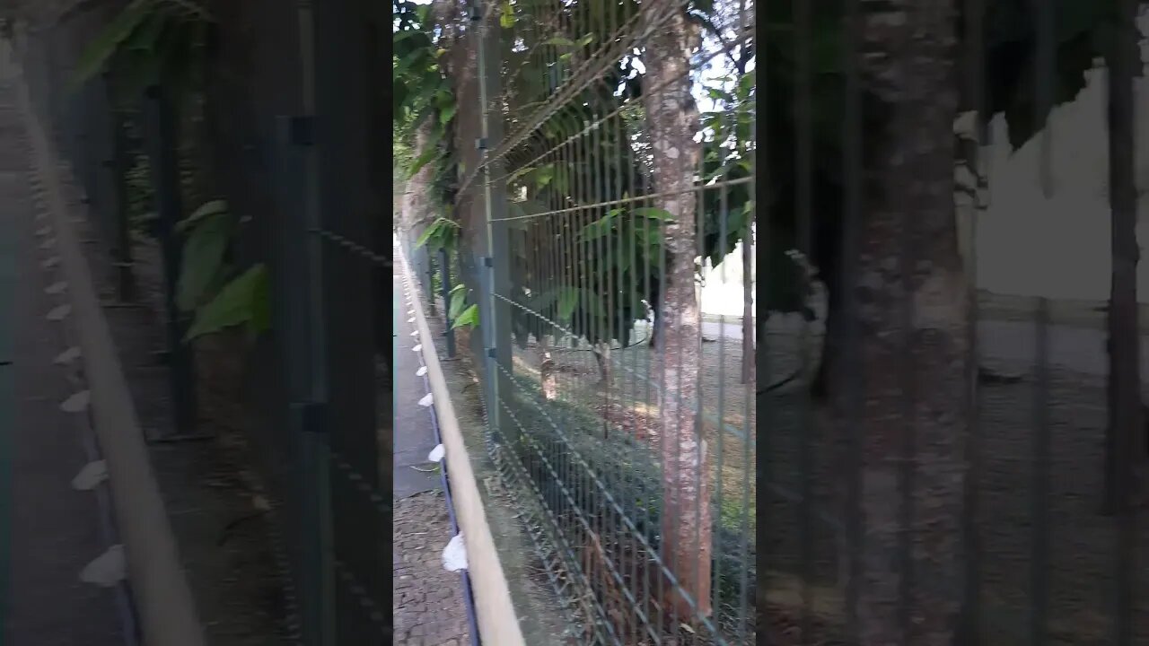 ESTRADA REAL -PARQUE DAS AGUAS CALÇADA SÃO LOURENÇO MINAS GERAIS