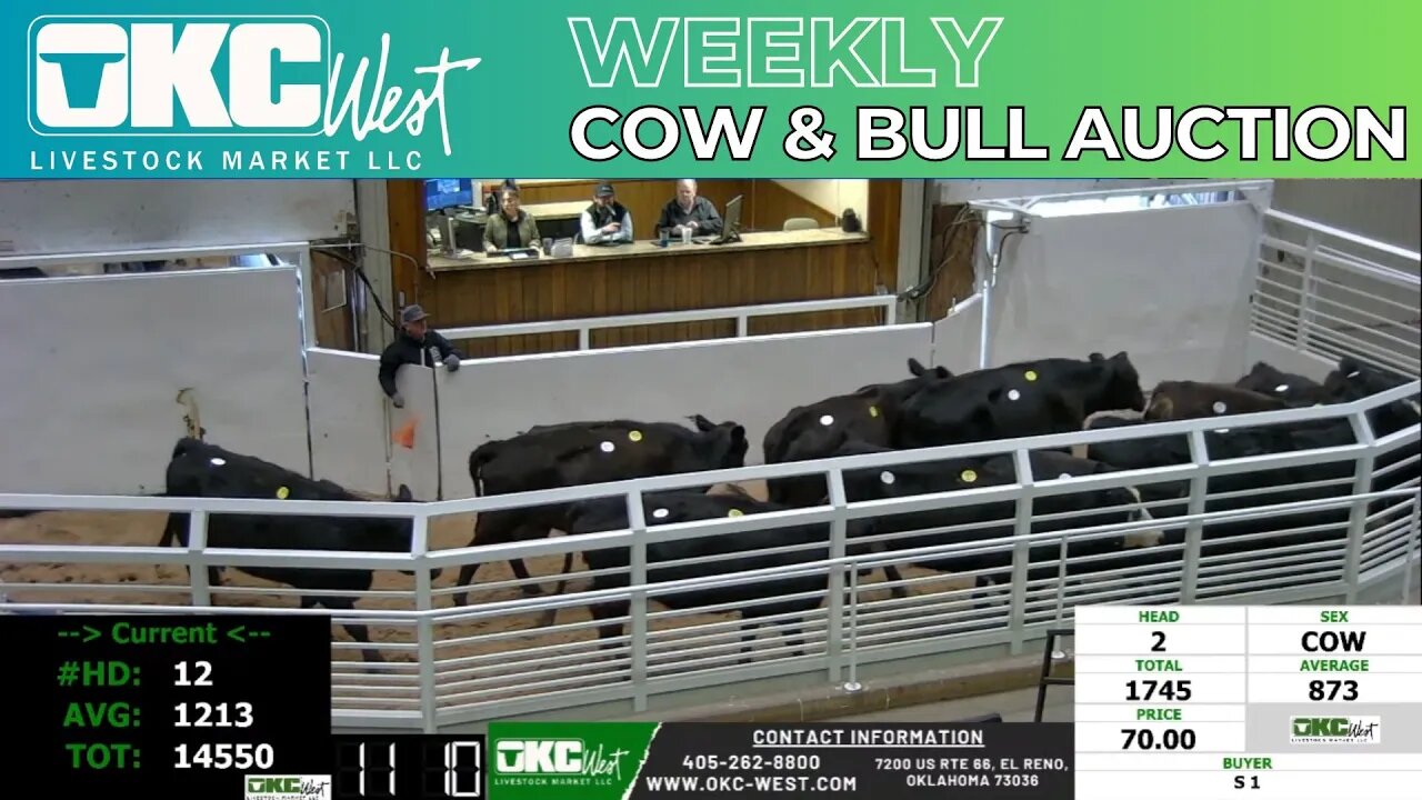 3/27/2023 - OKC West Weekly Cow & Bull Auction