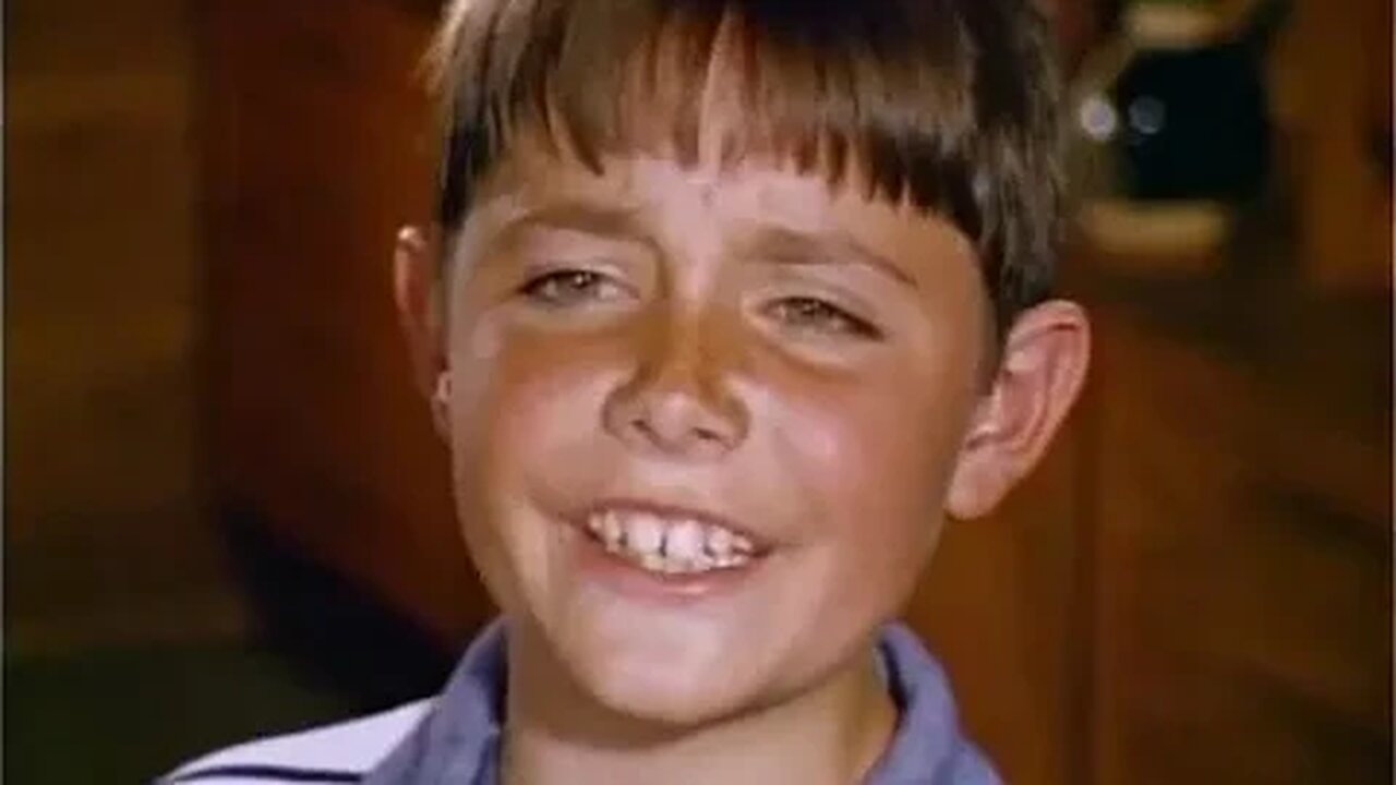 Skippy the Bush Kangaroo S02E02 The Perfect Hosts