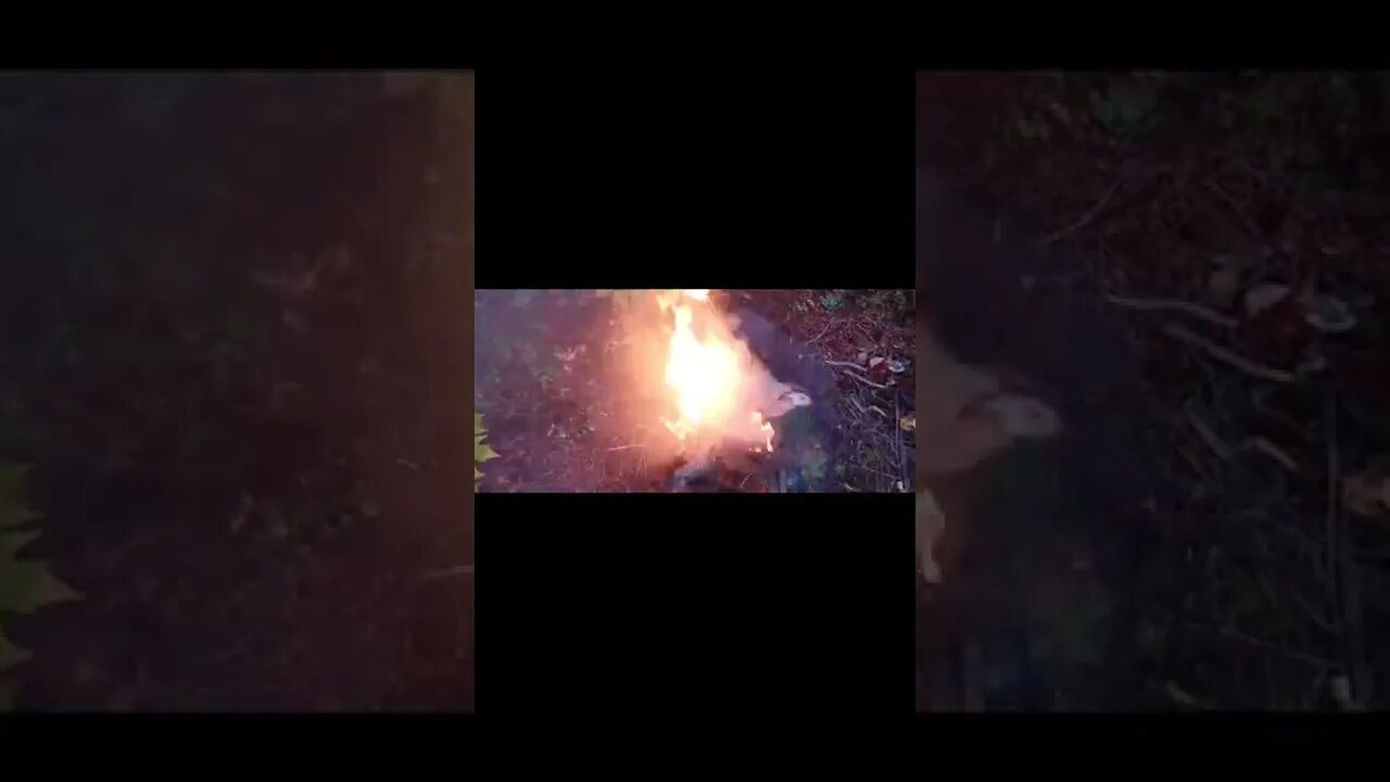 #fire #mountains #wildlife #youtubeshorts #shortstrending #mystery