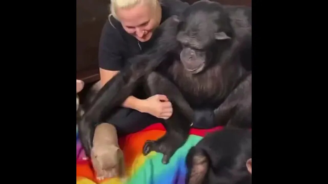 Cuddle