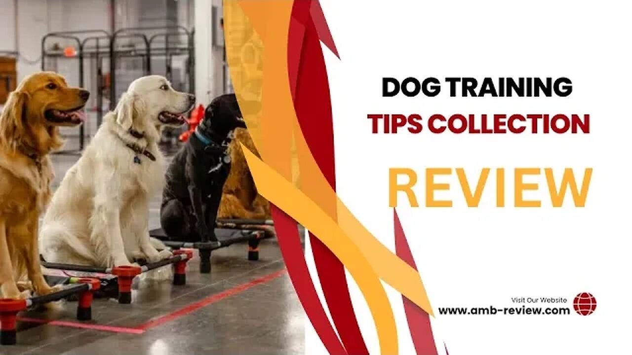 Dog Training Tips Collections Review l Elevate Your Dog's Behavior with Expert Tips