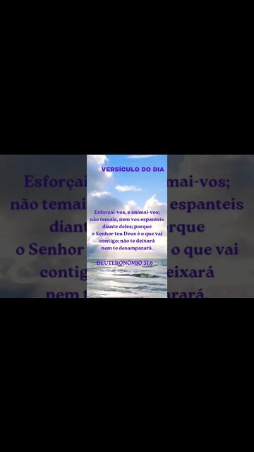 VERSÍCULO DO DIA 31/10/2022.#shorts