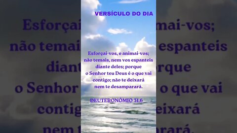 VERSÍCULO DO DIA 31/10/2022.#shorts