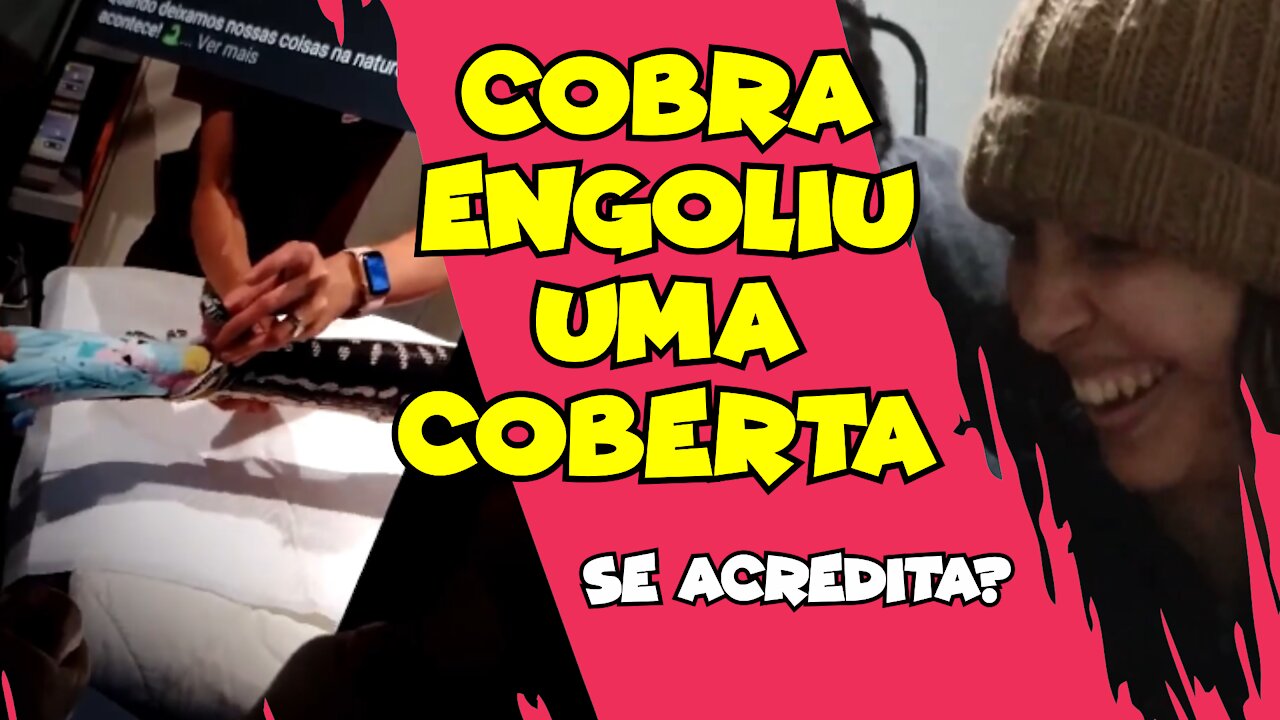 A COBRA QUE ENGOLIU UMA COBERTA KKKKK