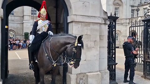 Kings guard and police tell tourist to get back yes you listen #horseguardsparade
