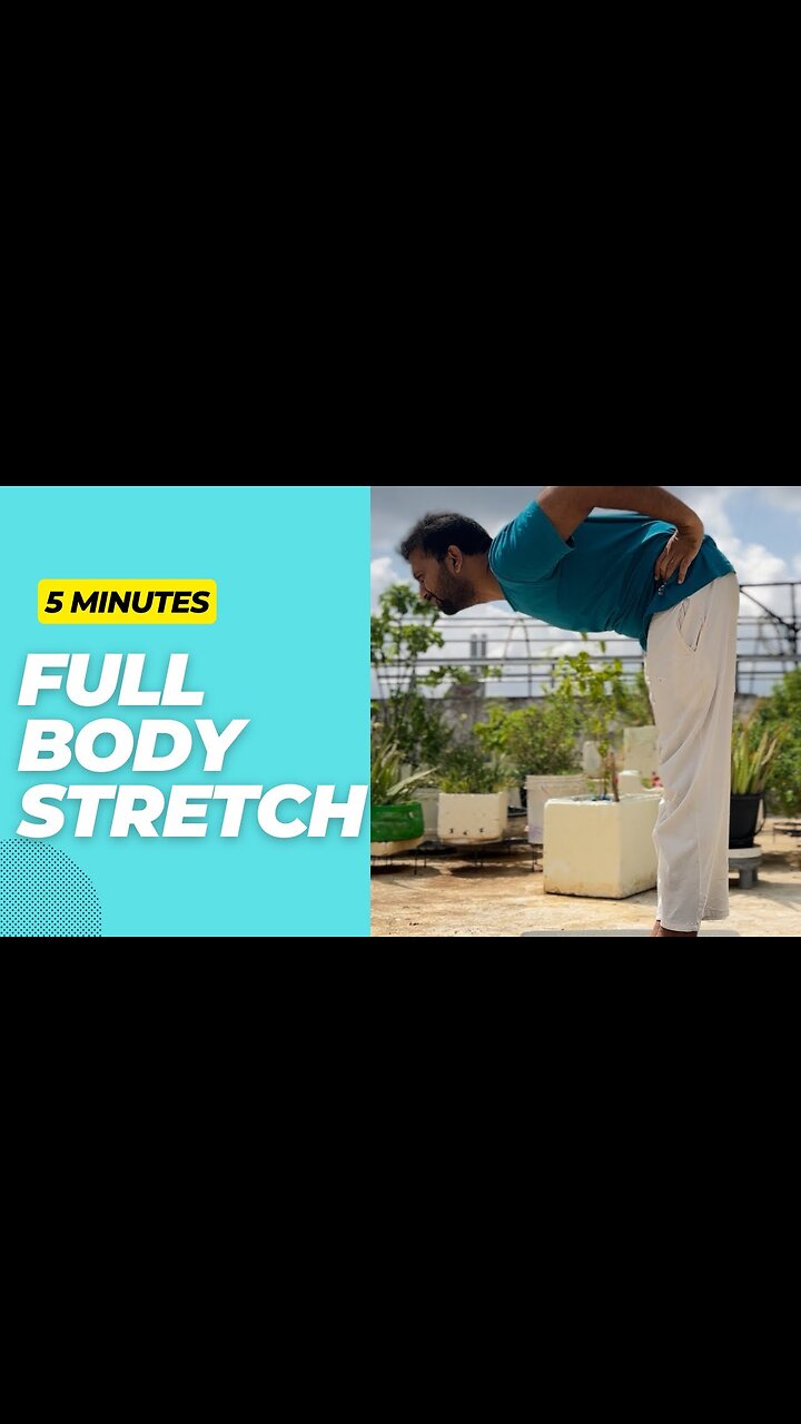 5-Minute Full-Body Stretch Routine | Boost Flexibility & Relieve Joint Pain