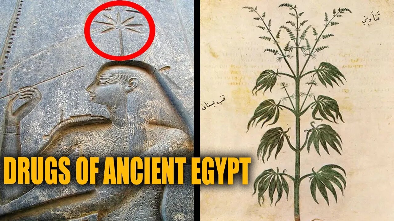 Types of Drugs Used in Ancient Egypt