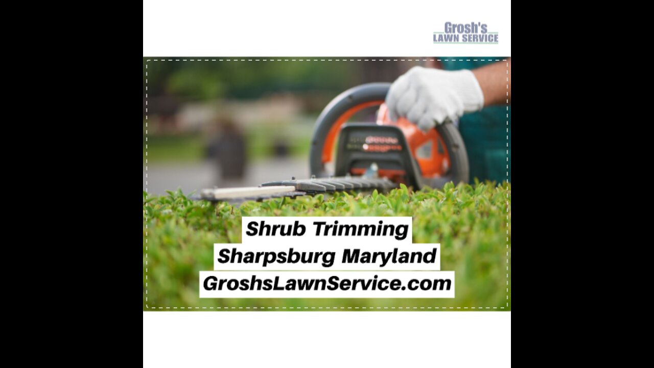 Shrub Trimming Sharpsburg Maryland Landscape The Best