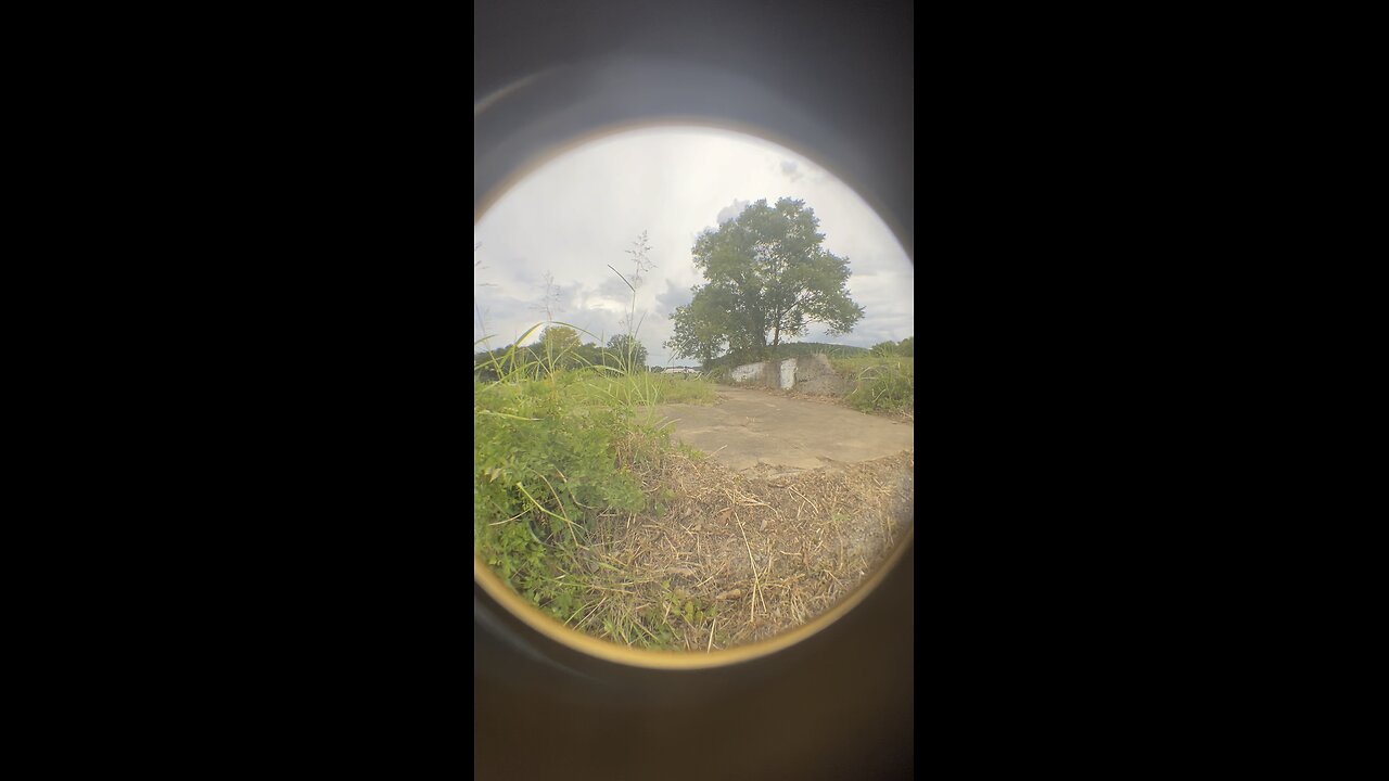 Heelflip