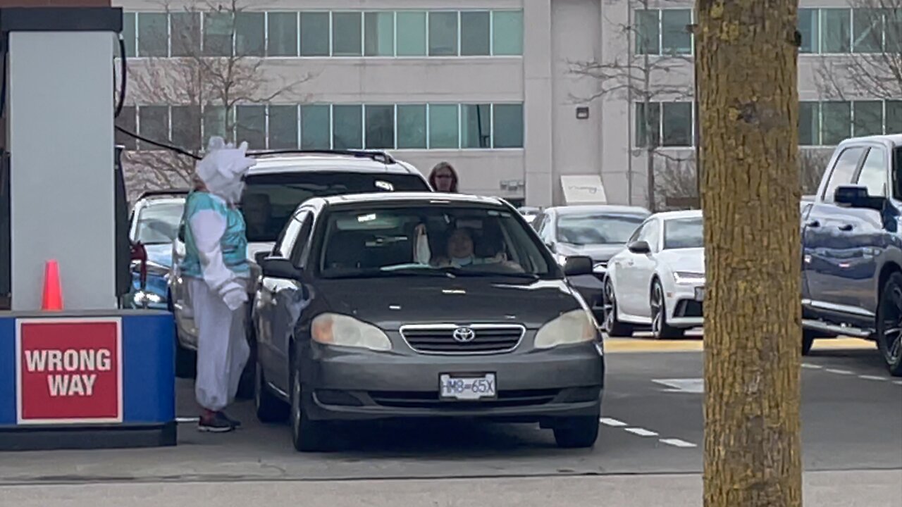 Dancing Easter bunny pumps gasoline at Costco