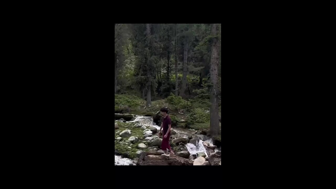 paisa💸💸😎💯✅nnpotan hai meri jaan