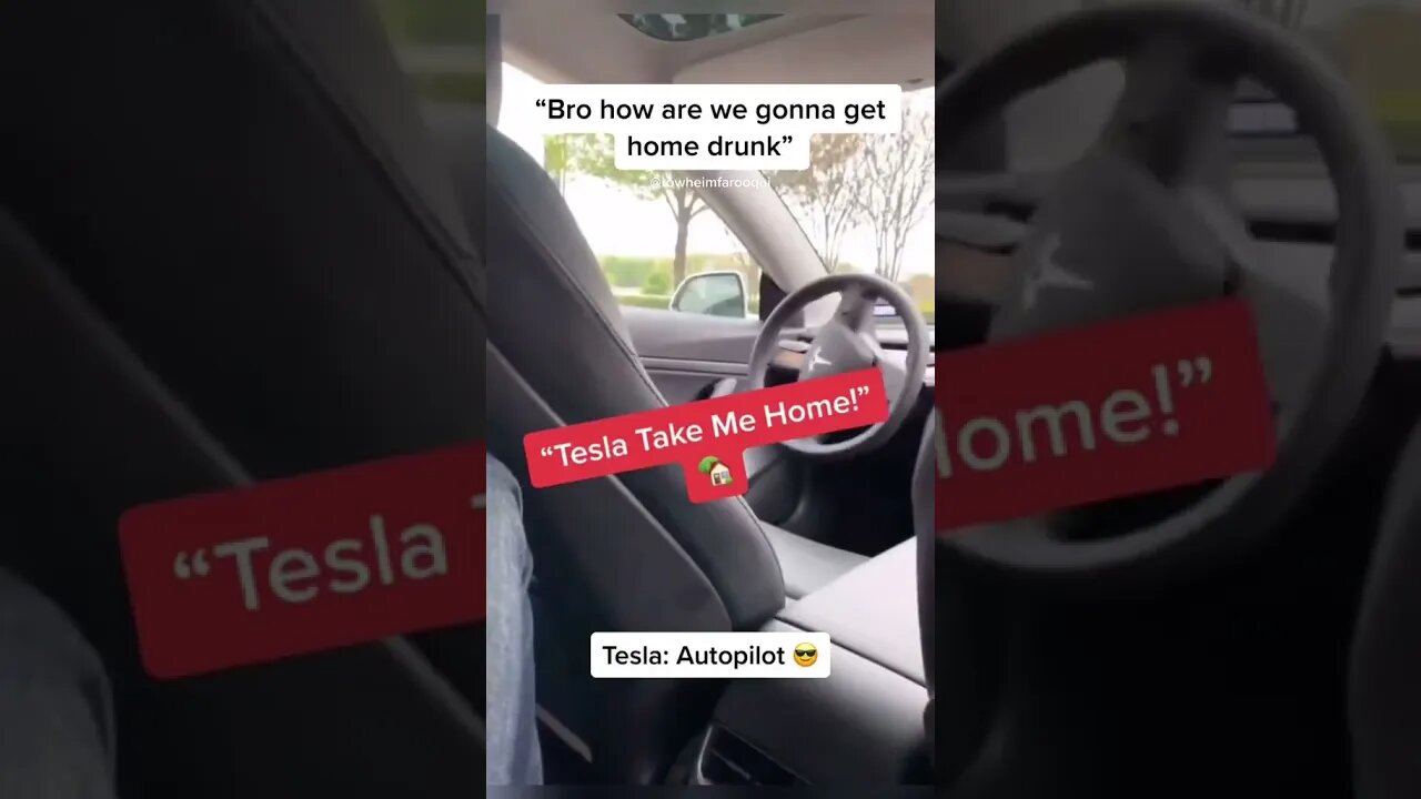 TESLA AUTOPILOT 🥂😎🛩️#shorts