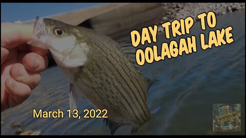 Crappie Day Trip!